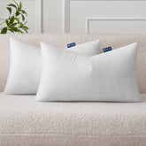 MIULEE Standard Size Set of 2 Throw Pillow Inserts, Nowoven Decorative Pillow Inserts for Living Room